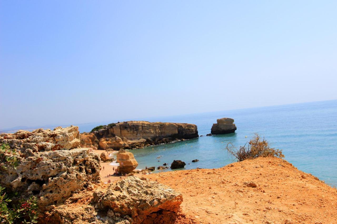 Natural Grey אלבופיירה מראה חיצוני תמונה